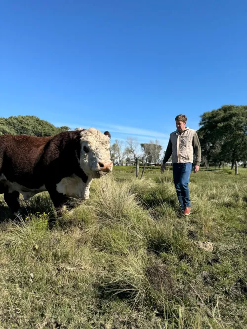 DIAGNÓSTICO PRECOZ DE PREÑEZ BOVINA POR ECOGRAFÍA
