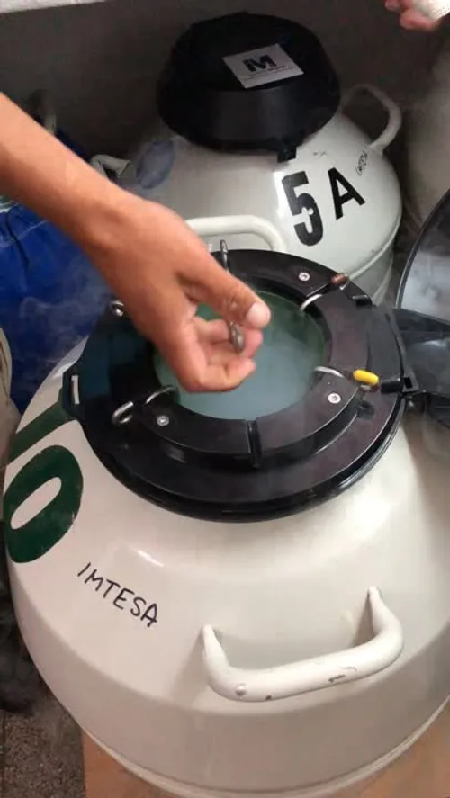 PENSIONADO Y CONGELADO DE SEMEN DE TOROS DE TERCEROS