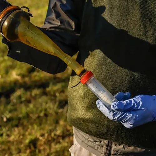 VENTA DE SEMEN CONGELADO